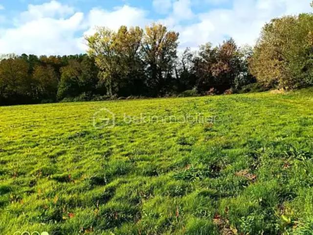 Aire sur l'Adour 40800 Achat / Vente terrain