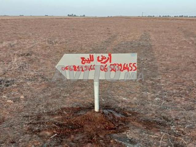 Ait Chergui Khémisset