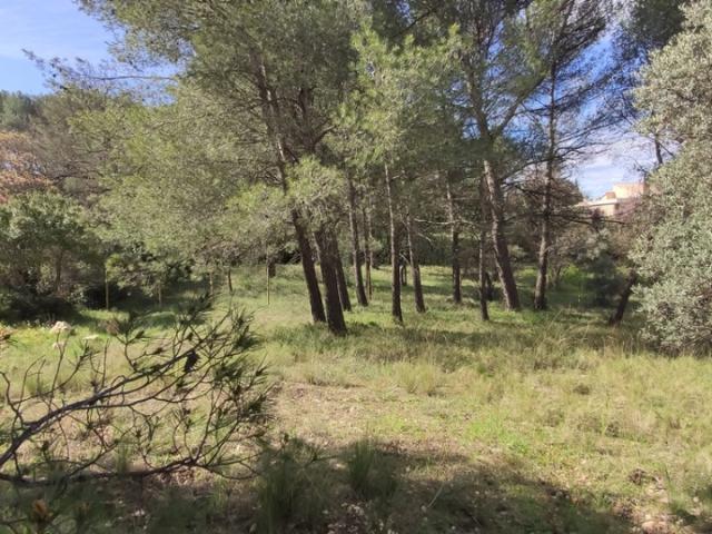 Aix en Provence Vente Terrain 13