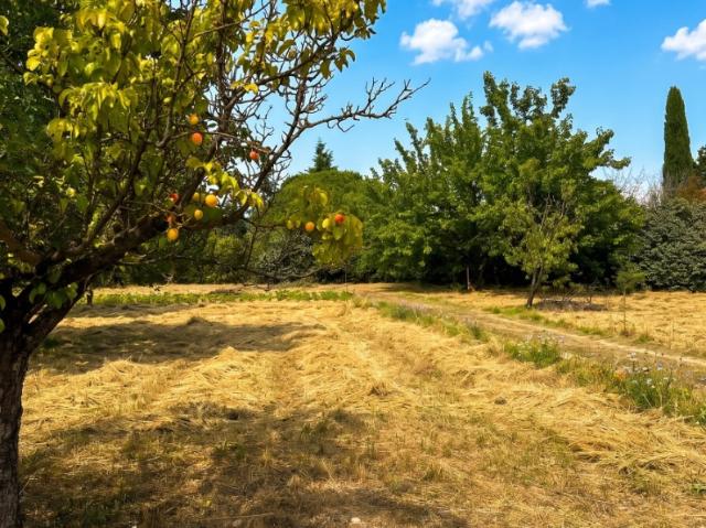 Aix en Provence Vente Terrain 13