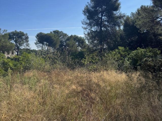 Aix en Provence Vente Terrain 13
