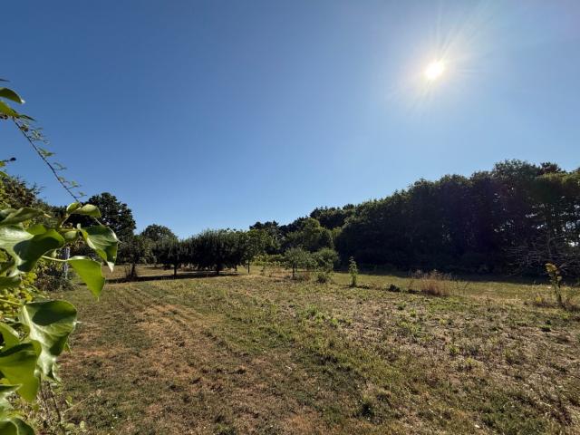 Aizenay Vente Terrain 85