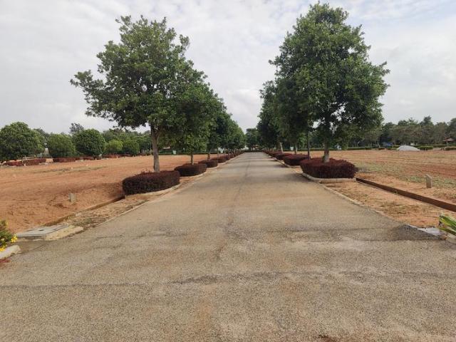 Devanahalli Residential Plot For Sale Bengaluru