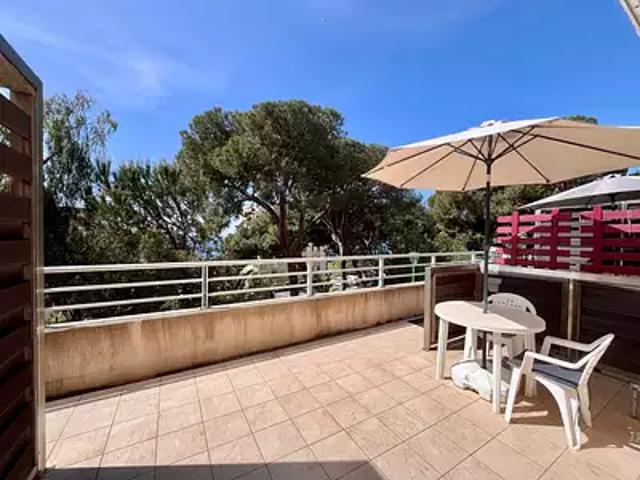 Ajaccio 20000 Achat / Vente appartement 1 pièce t1