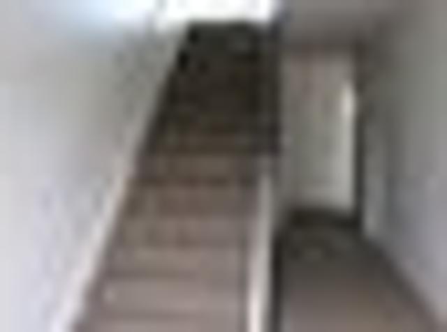 Aotea, 3 bedrooms, $795 pw