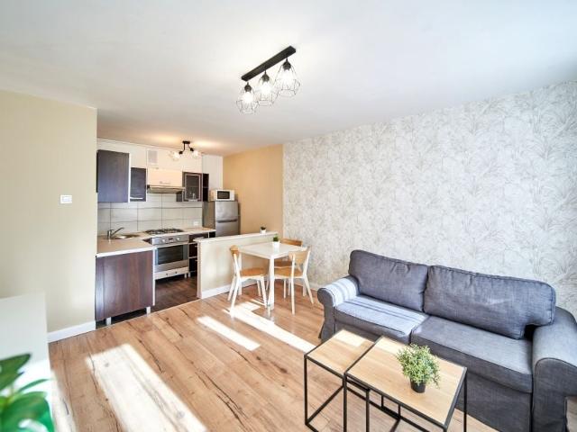 Al. Wyzwolenia 42 36 m², Szczecin
