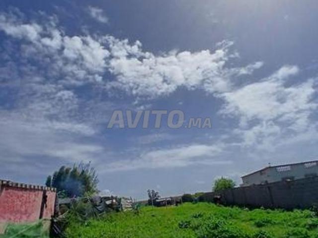 Al Maamoura Salé où se trouve ce terrain?