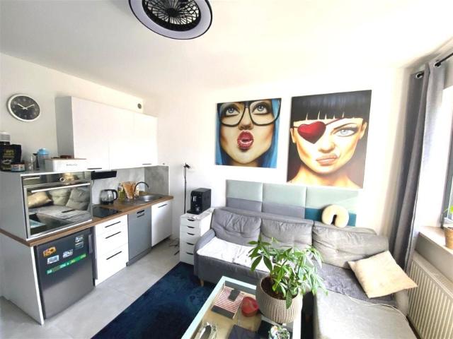 Al. Powstańców Śląskich 22 m², Łódź