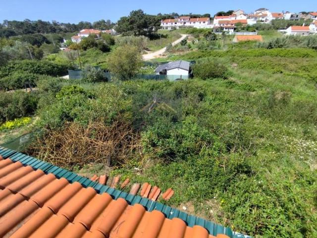 Almada Almada 102260665