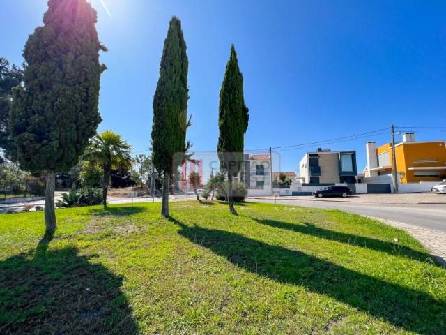 Almada Almada 97120972
