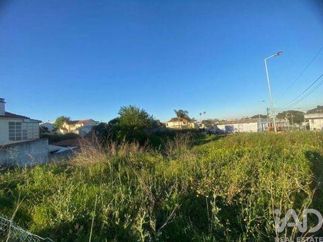 Almada Setubal 100741665