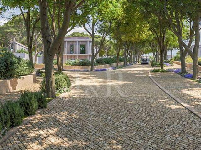 Almada Setúbal 102341659