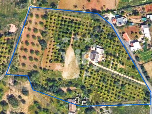 ALMANCIL Algarve 76460175