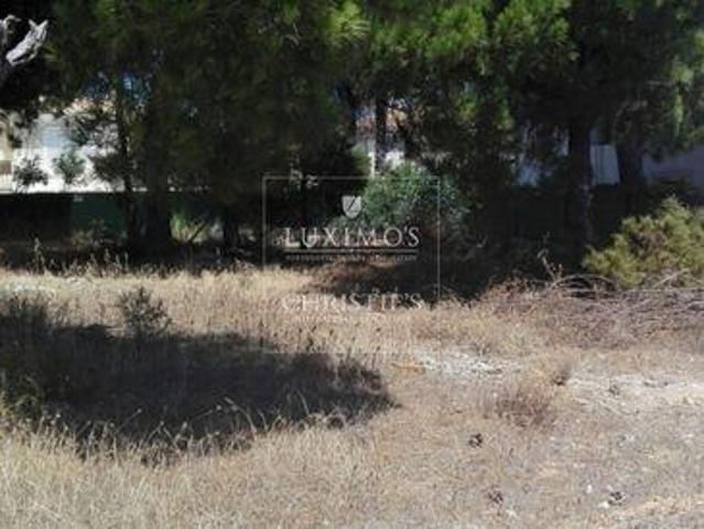 Almancil FARO LS96316464