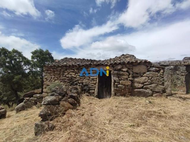 Almeida Guarda 92512983