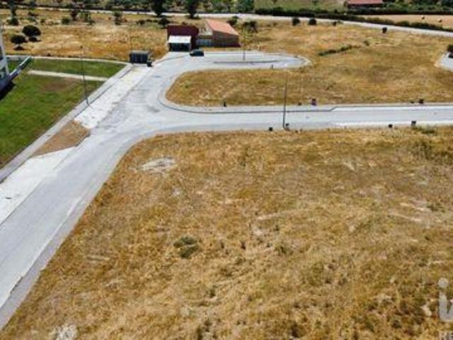 Almeida Guarda LS95381735