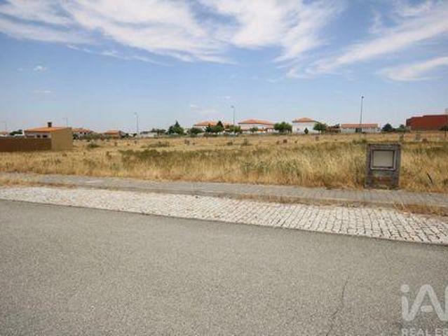Almeida Guarda LS95381736