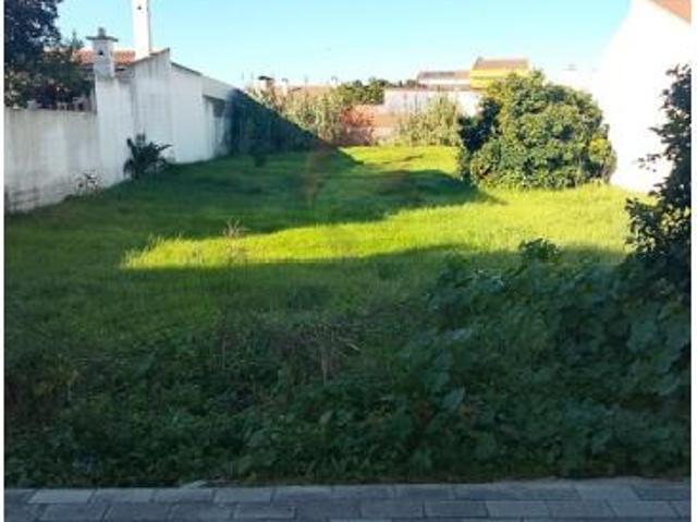 Almeirim Almeirim 87042987