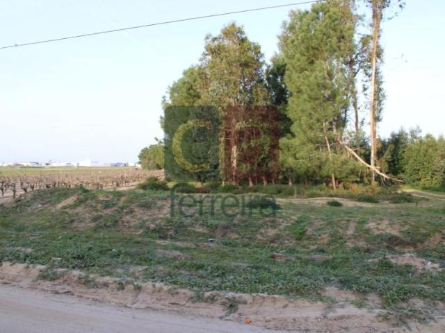 Almeirim Almeirim 97121120
