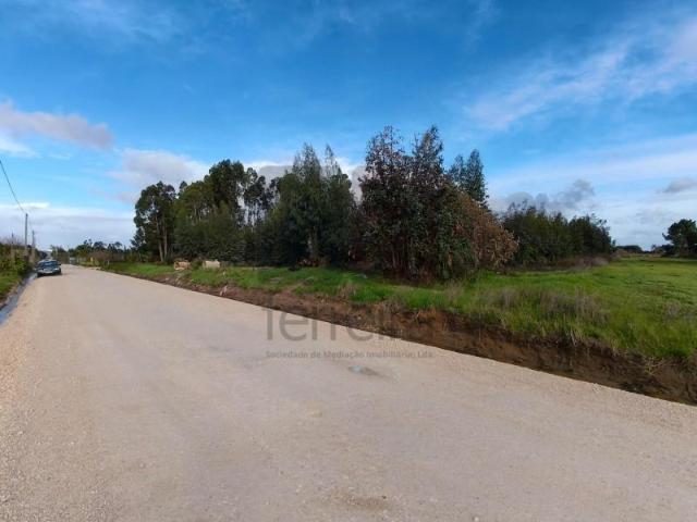 Almeirim Almeirim 97121226