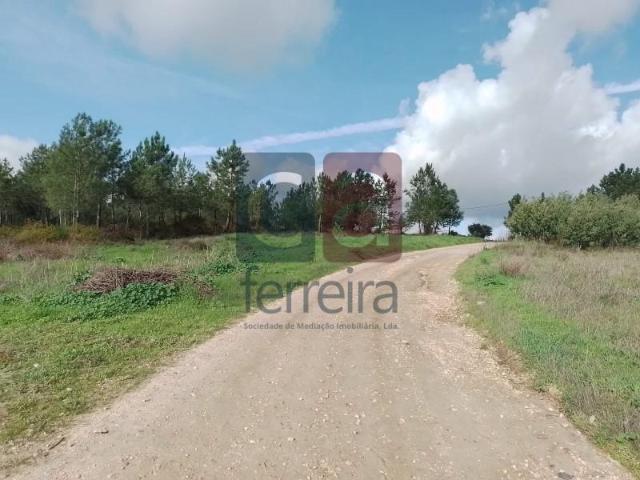 Almeirim Almeirim 97121589
