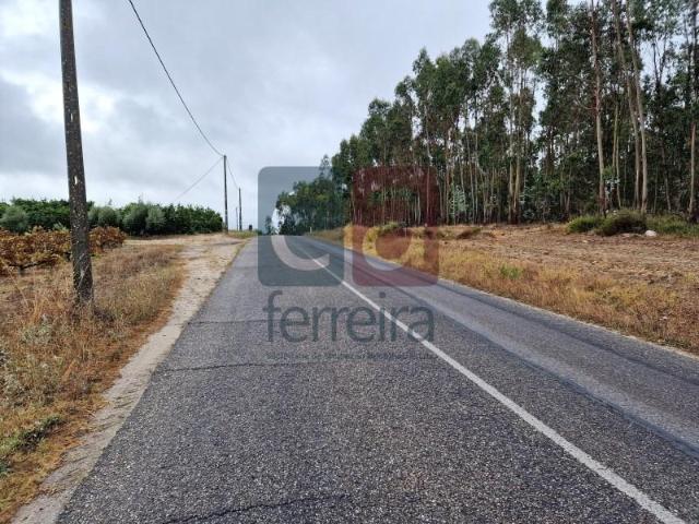 Almeirim Almeirim 98192987