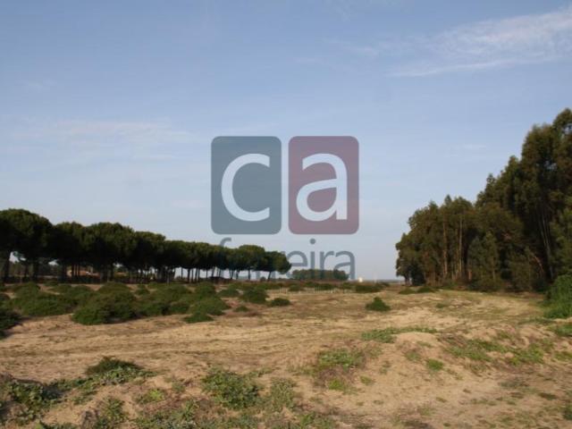 Almeirim Almeirim 99131768