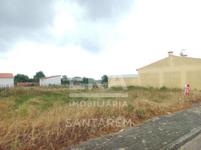 Almeirim Almeirim 102066789