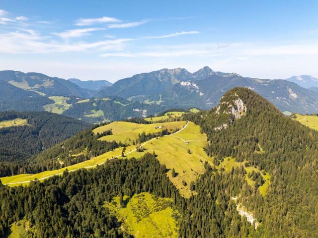 Almfläche mit Panoramablick im Pinzgau