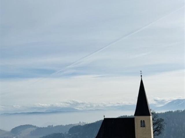 Almhaus mit Weitblick auf 1200 Seehöhe und absoluter Ruhelage zu verkaufen SONNENLAGE inkl. Sauna