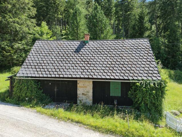 Almflair Trifft Naturgenuss Charmante Hütte im Grünen