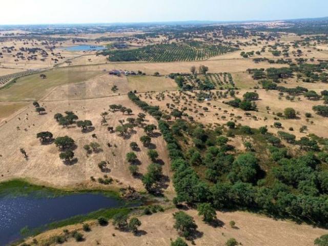 Almodôvar Beja 92257655