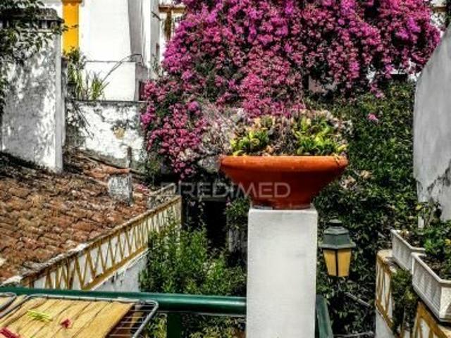 Alojamento Local em casa senhorial com restaurante e loja individual