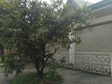 Along National Hiway House & Lot in Sogod Cebu One Propertee Commercial Residential Fully Furnished [Houses and Lots ️] April 2025 in Sogod, Cebu for sale | Clean Title | Discounted / Promo | FSBO / For Sale by Owner | Fully Furnished | Pet friendly