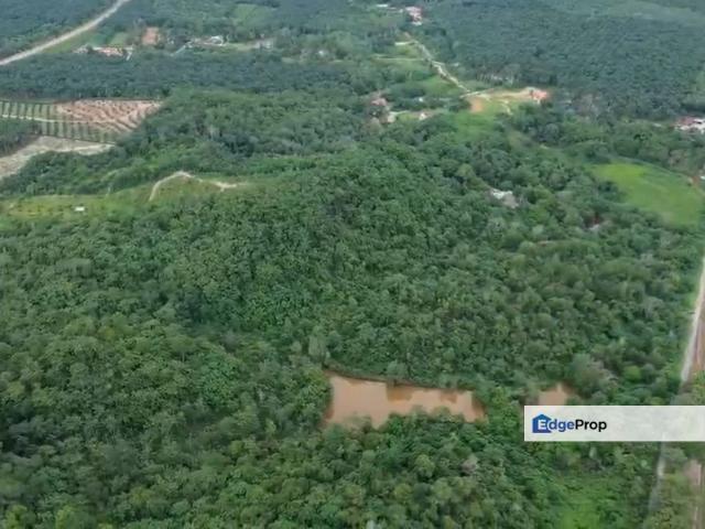 Alor Gajah Simpang Ampat 30 acres land