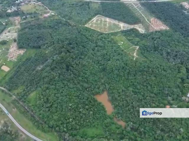 Alor Gajah Simpang Ampat Freehold 30 acres land