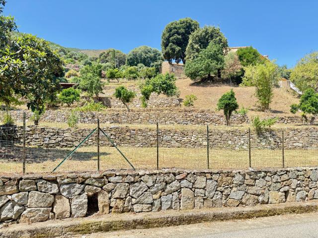 Alata Vente Terrain 20