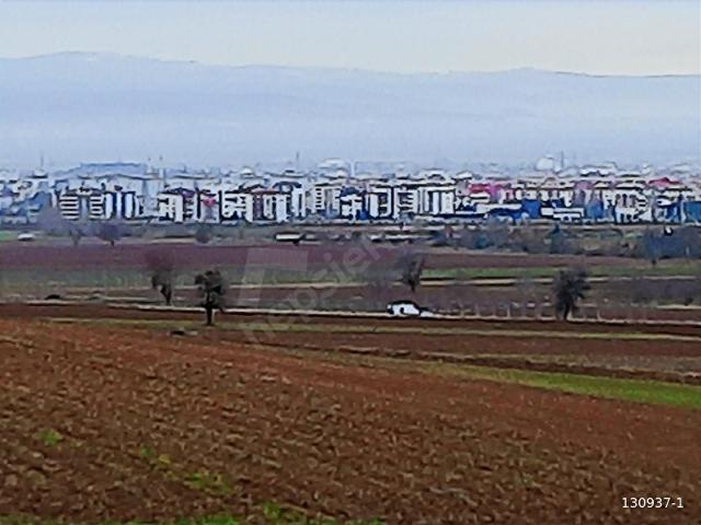 ALAYLIDA ŞEHRE VE KÖYE YAKIN YATIRIMLIK 3625 M2 TARLA