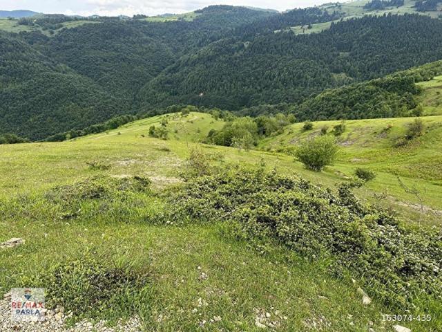 ALAÇAMDA FIRSAT TARLA
