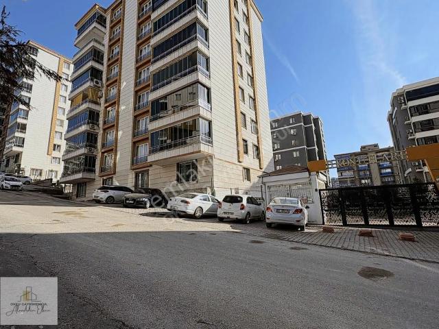 Alaaddin Okçu K İ R A L I Y O R F1 Jiyan Park Karşısı 4+1