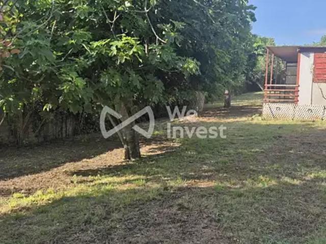 Alaigne 11240 Achat / Vente terrain