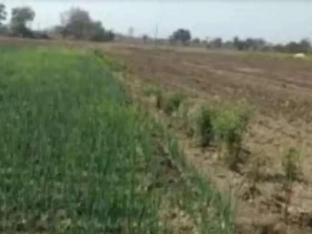 Alam garh, Near kharian jalalpur jattan road. Gujrat Jalalpur Jattan Road ID 36570
