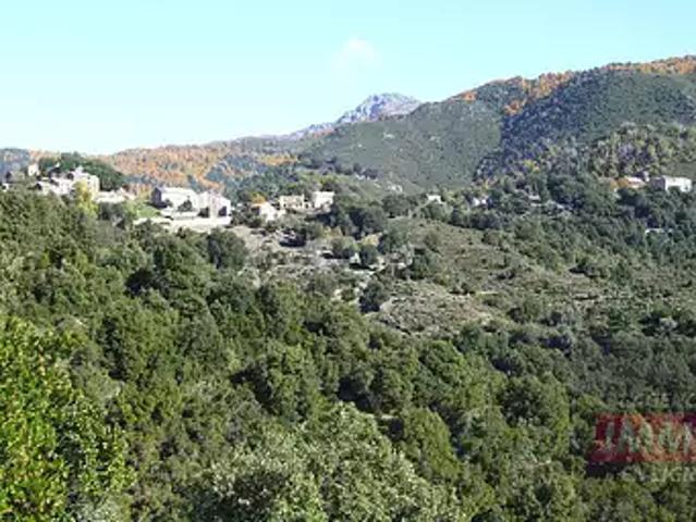 Alando 20212 Achat / Vente appartement 3 pièces t3 au dernier étage