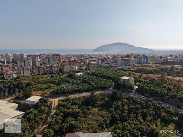 ALANYA CİKCİLLİDE İMARLI ARSA!