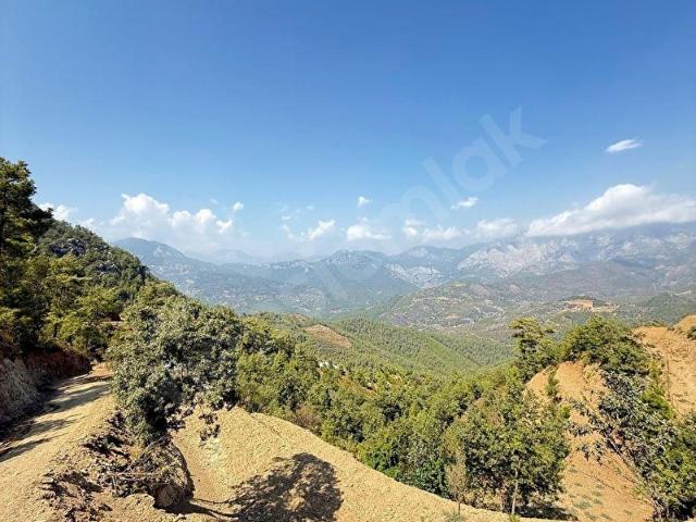 ALANYA ÇAMLICA MAHALLESİ ASFALT YOLA SIFIR HAFRİYATLI ARAZİ
