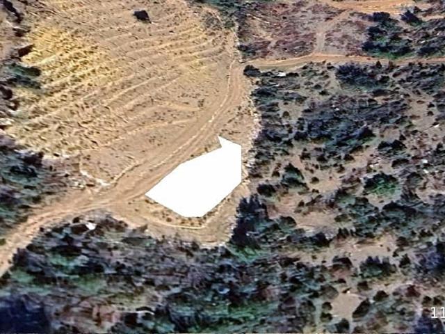 ALANYA ÇAMLICA SATILIK 574 M2 TARLA