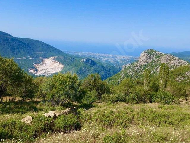 ALANYA BADEMAĞACI DENİZ MANZARALI SATILIK 224 m2 ARAZİ
