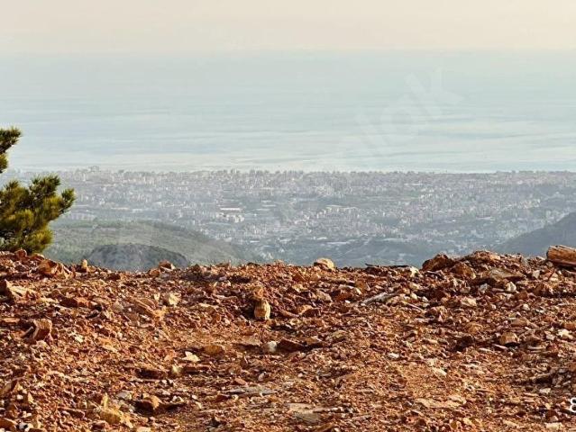 ALANYA BADEMAĞACI MAH 2200 M2 TEK TAPU DENİZ MANZARALI SATILIK TARLA