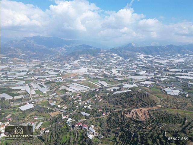 ALANYA GAZİPAŞA SATILIK 11.780 M2 MÜSTAKİL TARLA