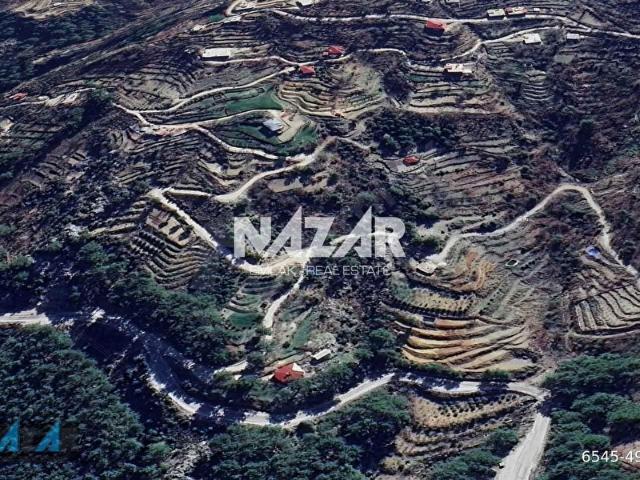 Alanya Gümüşkavak'ta 5.856 m Satılık Tarla